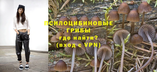 молекула духа Беломорск