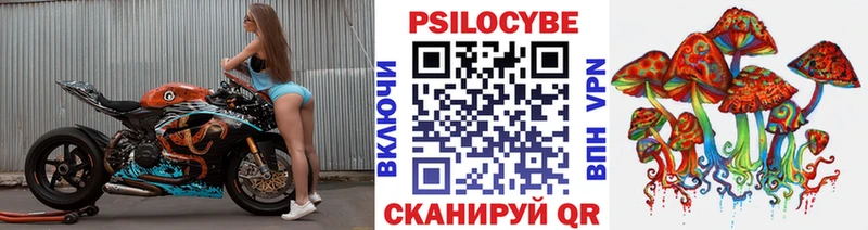Псилоцибиновые грибы Psilocybe  что такое наркотик  OMG рабочий сайт  Жуковка 