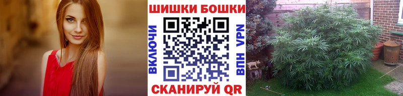 Марихуана гибрид  сколько стоит  Жуковка 